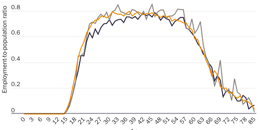Figure 8: Employment-to-population ratio by immigration status in 2013
