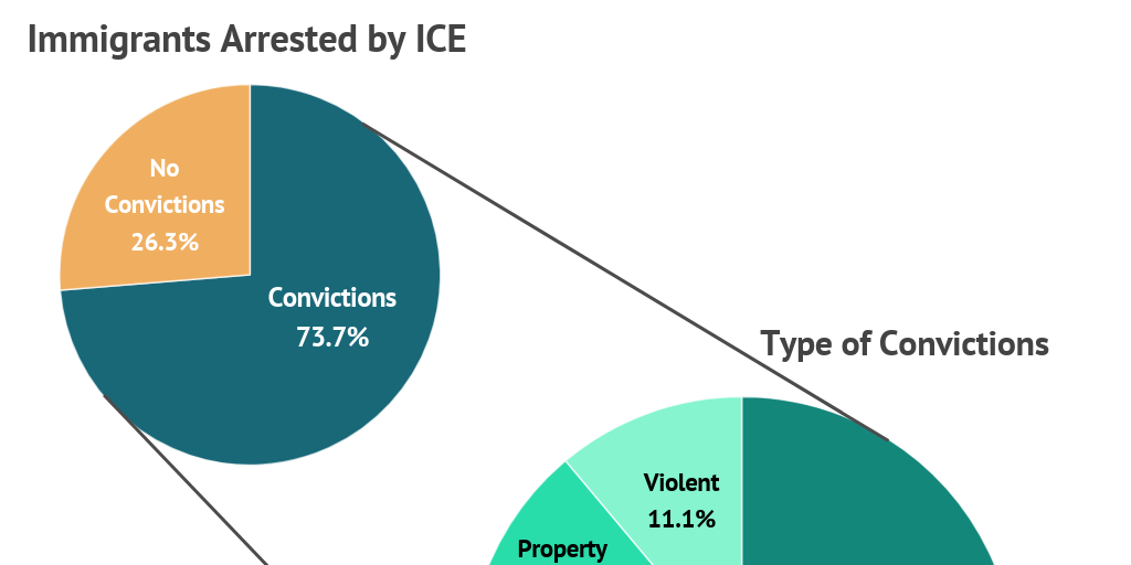 Immigrants and Type of Convictions