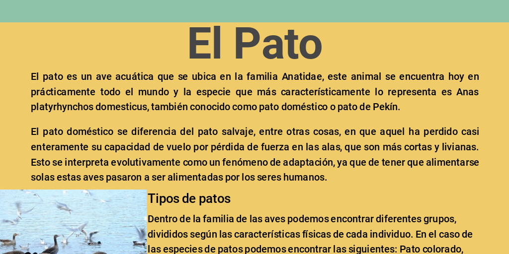 El Pato Infogram