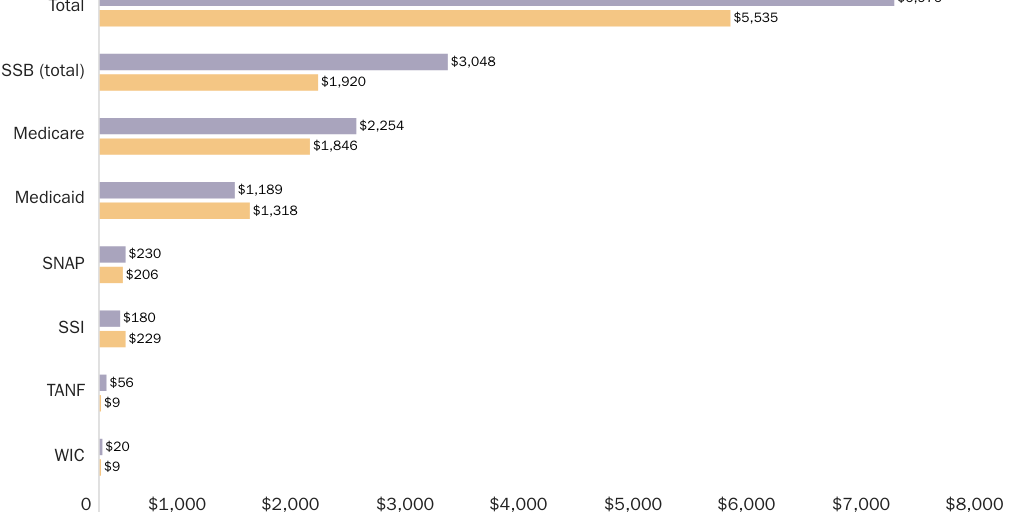 Figure 1: Average per capita welfare cost by program for native-born Americans and immigrants