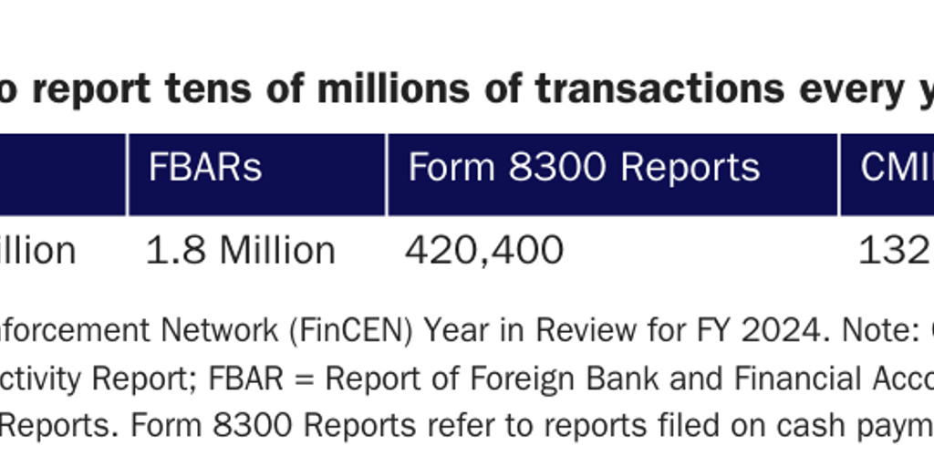 2026: Fiscal Year 2024 BSA Report Breakdown