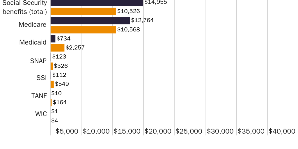 Figure 4: Average per capita welfare cost by program for native-born Americans and immigrants, age 65 or older