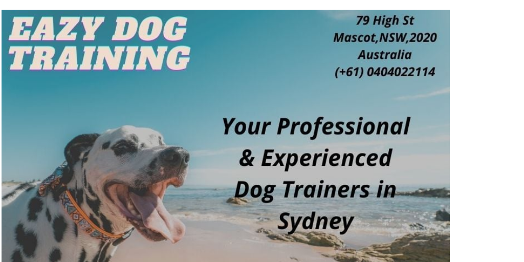 Dog Behaviourist Western Sydney Infogram