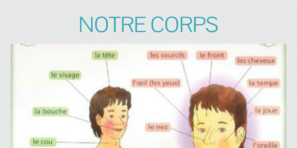 nOTRE CORPS by Skret Skret - Infogram