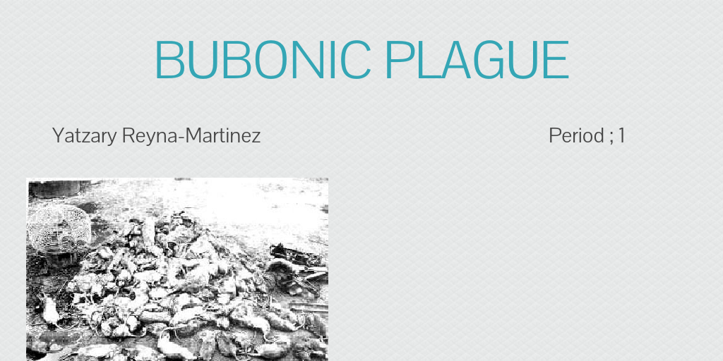 Bubonic Plague Infogram